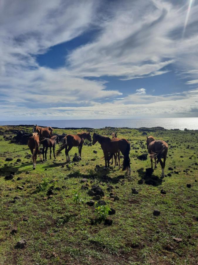 Moehiva Camping Rapa Nui Hanga Roa Exterior foto